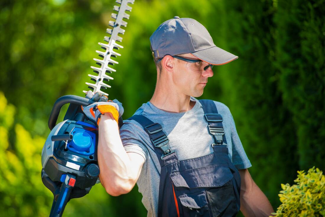 Picture of a worker trimming a hedge in customer's backyard in Bakersfield, CA
